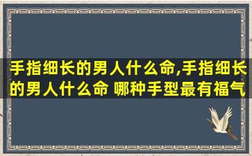 手指细长的男人什么命,手指细长的男人什么命 哪种手型最有福气